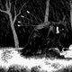 Illustration for article titled Impromptu Pictures